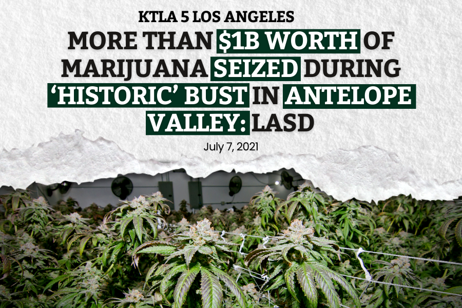 Illegal Marijuana Grows