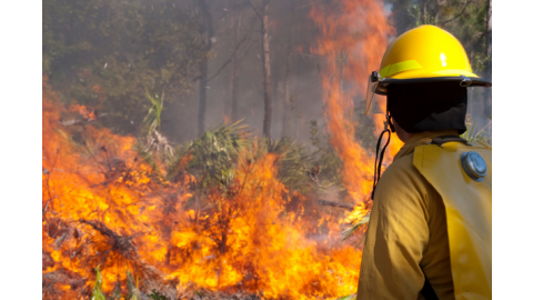 Wilk’s bill to make wildfire settlements tax free clears Senate