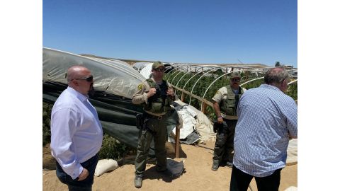 Largest Marijuana Bust in the Antelope Valley
