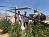 Illegal Marijuana Grows in Antelope Valley